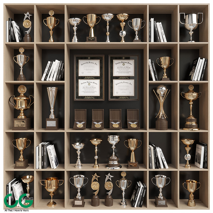 Rack with awards and books